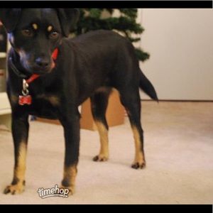 Meet your Posher, Kaitlyn